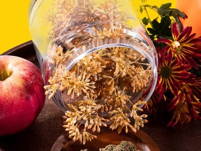 FLUENT Cannabis Dispensary - Panama City