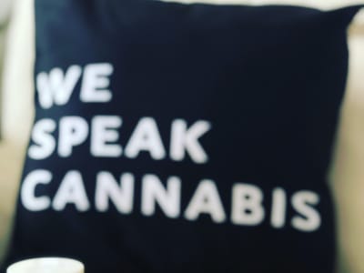 FLUENT Cannabis Dispensary - Panama City