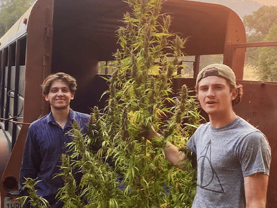Foothill Hemp Farms
