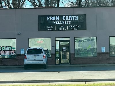 From Earth Wellness CBD Vape