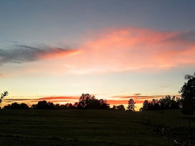 Gassed Up Dispensary - CBD, THC Delta 8, HHC,THCP, THCV & More!