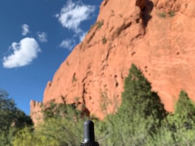 GLOBAL GREEN ENTERPRISE LLC