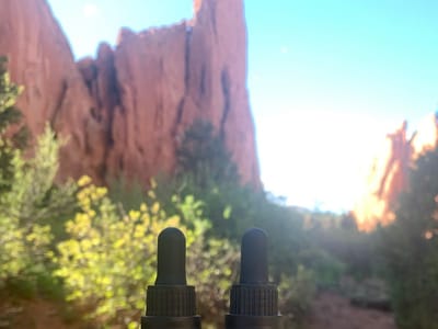 GLOBAL GREEN ENTERPRISE LLC