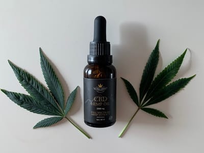 GLOBAL GREEN ENTERPRISE LLC