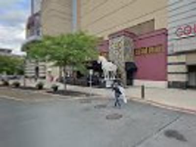 GO GREEN CBD - Colonie Center, NY