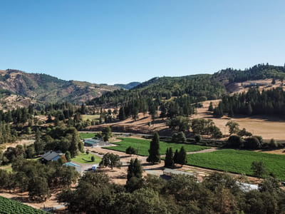 God's Glory Hemp Co.