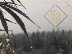 Golden Girlz CBD