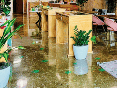 Gräs CBD Collective