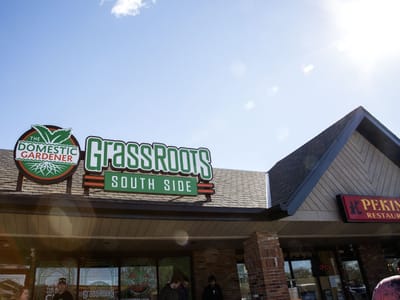Grass Roots South Side