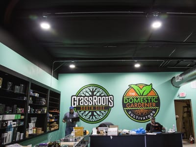 Grass Roots South Side