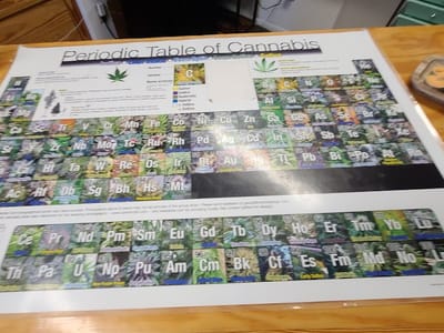 Great Alaskan Bud Co.