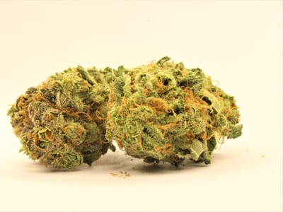 Green Degree-Machen- Wasilla