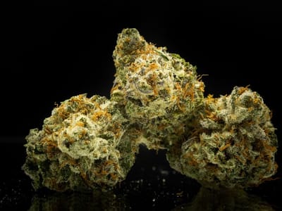 Green Hills Patient Center Inc