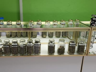 Green-Lite Health CBD and Hemp Dispensary