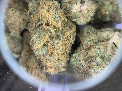 Green Mountain Dispensary