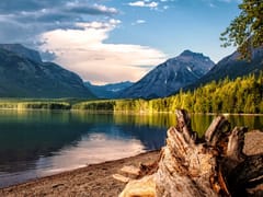 Green Ridge Biosolutions