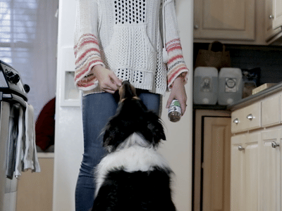 Green Valley Nutrition CBD & Hemp