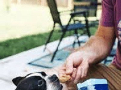 GreenLife Remedies CLT Recreational Cannabis Dispensary, THCA Flower, Delta 8, Delta 9 THC, CBD, Edibles, Carts