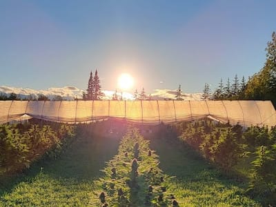 Grindstone Highlands