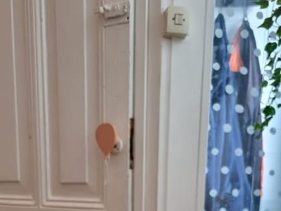 Hakuna Supply Gift Shop & CBD Apothecary