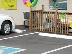 Happy Hippie | CBD + THC + Kratom