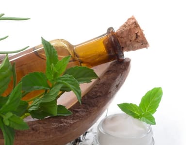 Happy Life CBD & Bubble Tea