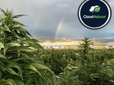 Happy Valley Place - CBD Store