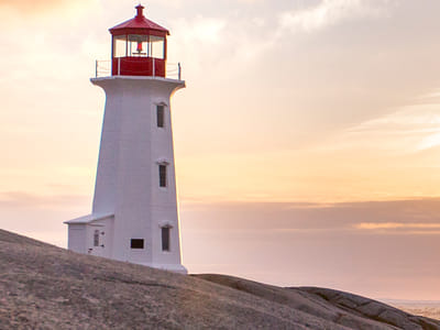 Harbor Hemp Company - CBD Online Shop