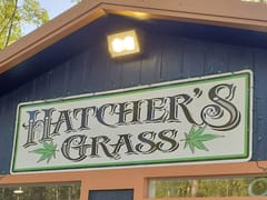 Hatcher's Grass