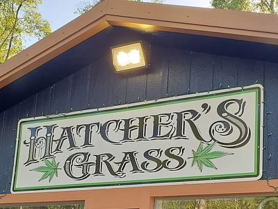 Hatcher's Grass