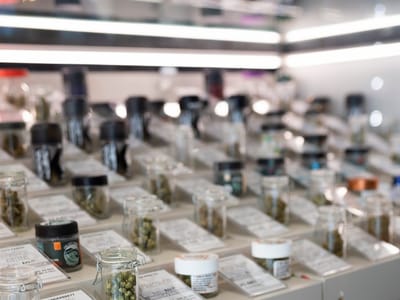 HAVEN Cannabis Dispensary - Downtown Long Beach