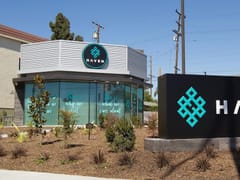 HAVEN™ Cannabis Dispensary - Belmont