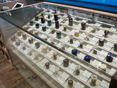 HAVEN™ Cannabis Dispensary - Belmont