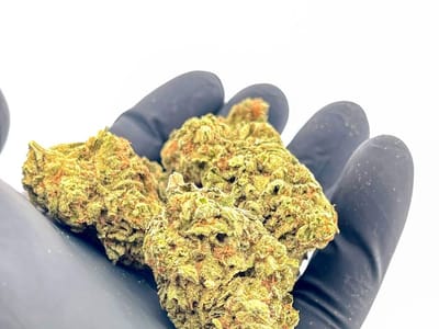 Healing Hemp Supply Co. Mobile & Online Hemp Dispensary