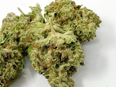 Healing Hemp Supply Co. Mobile & Online Hemp Dispensary