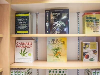 Healthy Alternatives