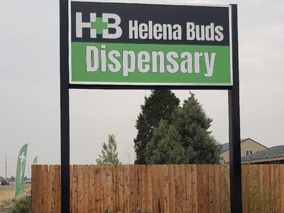 Helena Buds