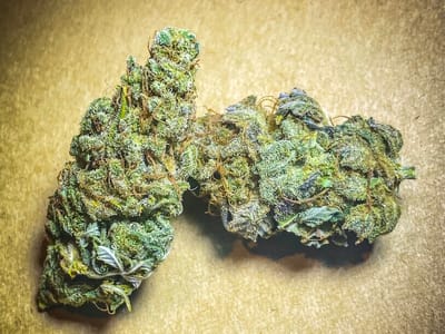 Hemp Geek CBD Store Vestal Parkway