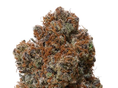 Hemp Hop Cannabis Delivery & Dispensary - CBD, THC, Delta 8, CBN, CBG