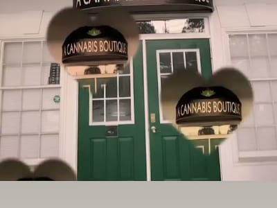 Hemp House Wellness: A CBD Boutique