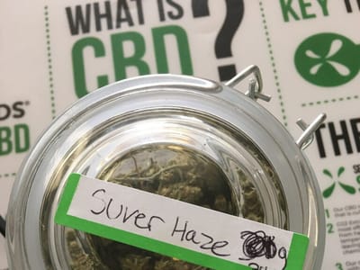 HEMP HUT - TRADE CENTER