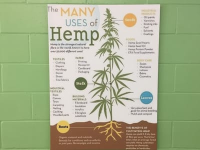 Hemp Leaf CBD Supply Co.