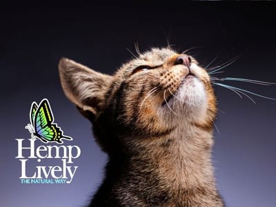 Hemp Lively! Wholesale Hemp Oil Manufacturing & Distribution