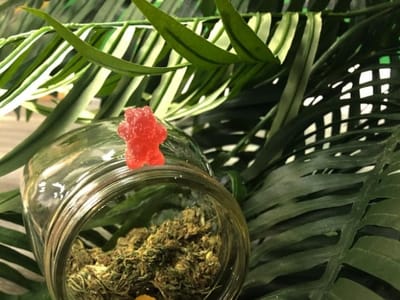 Hemp Pantry - Delta-8 THC, CBD Dispensary & Vape Shop