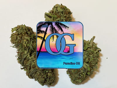 Hemp World CBD Store