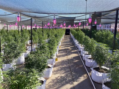 Hemp World CBD Store