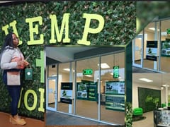 Hemp World Jackson