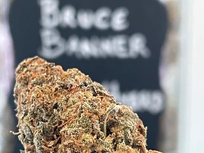 Hemp2oh! Premier Hemp Store