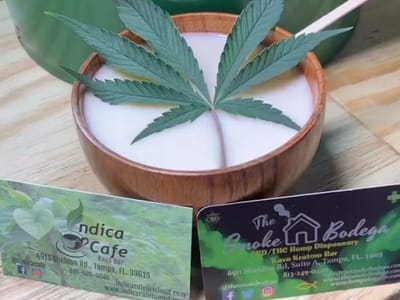 Hempology Life CBD STORE HEMP SHOP