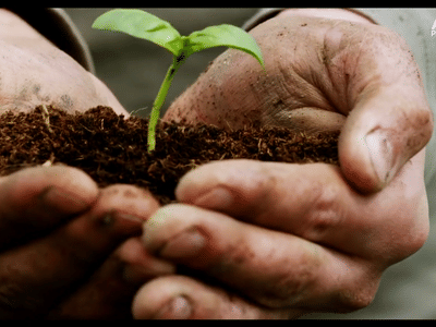 Hempology Life CBD STORE HEMP SHOP